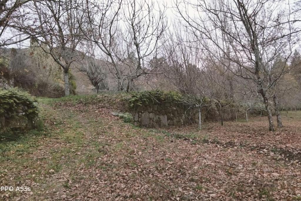 Confort, Fun And Leisure In Douro Rural Space Sande  Buitenkant foto