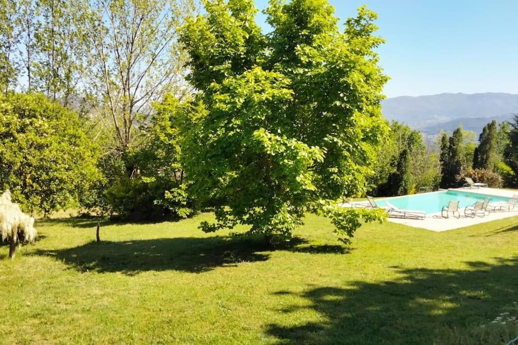 Confort, Fun And Leisure In Douro Rural Space Sande  Buitenkant foto