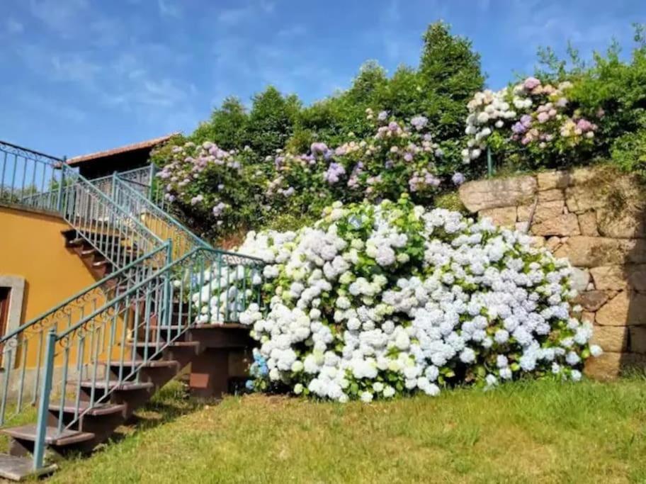 Confort, Fun And Leisure In Douro Rural Space Sande  Buitenkant foto