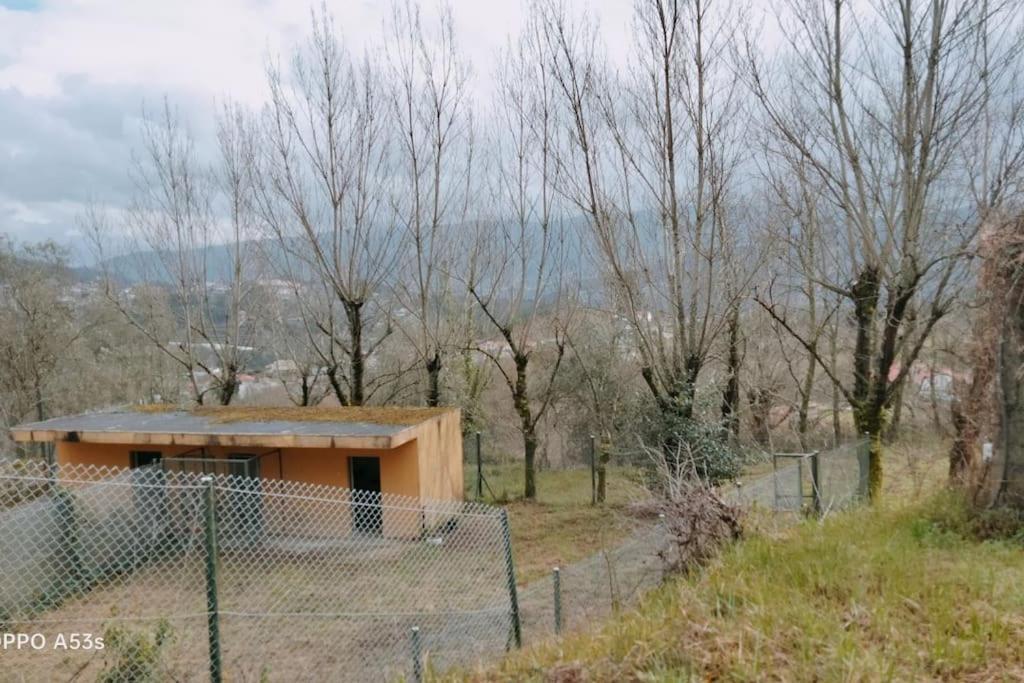 Confort, Fun And Leisure In Douro Rural Space Sande  Buitenkant foto